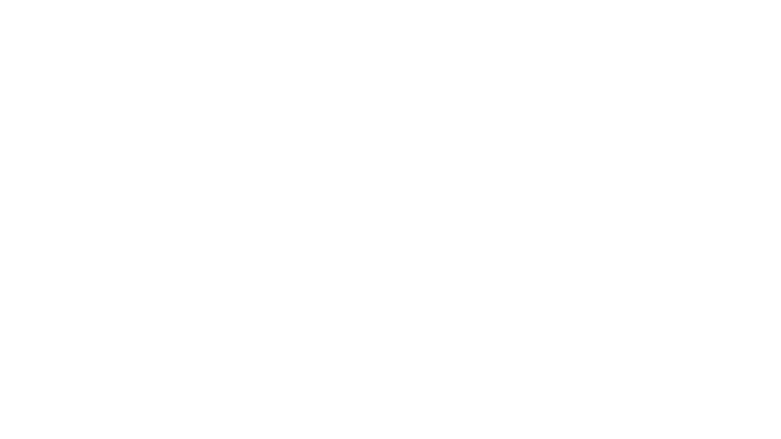 Reach IT Zambia Logo in White